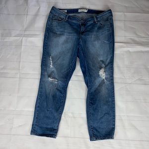 Torrid Boyfriend Denim Jeans 16
